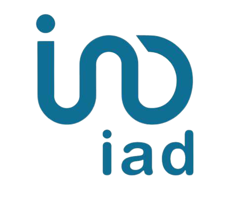 DMI_IAD_Logo